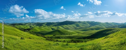 A vast  green field with a clear blue sky. The landscape is peaceful and serene  with no signs of human activity