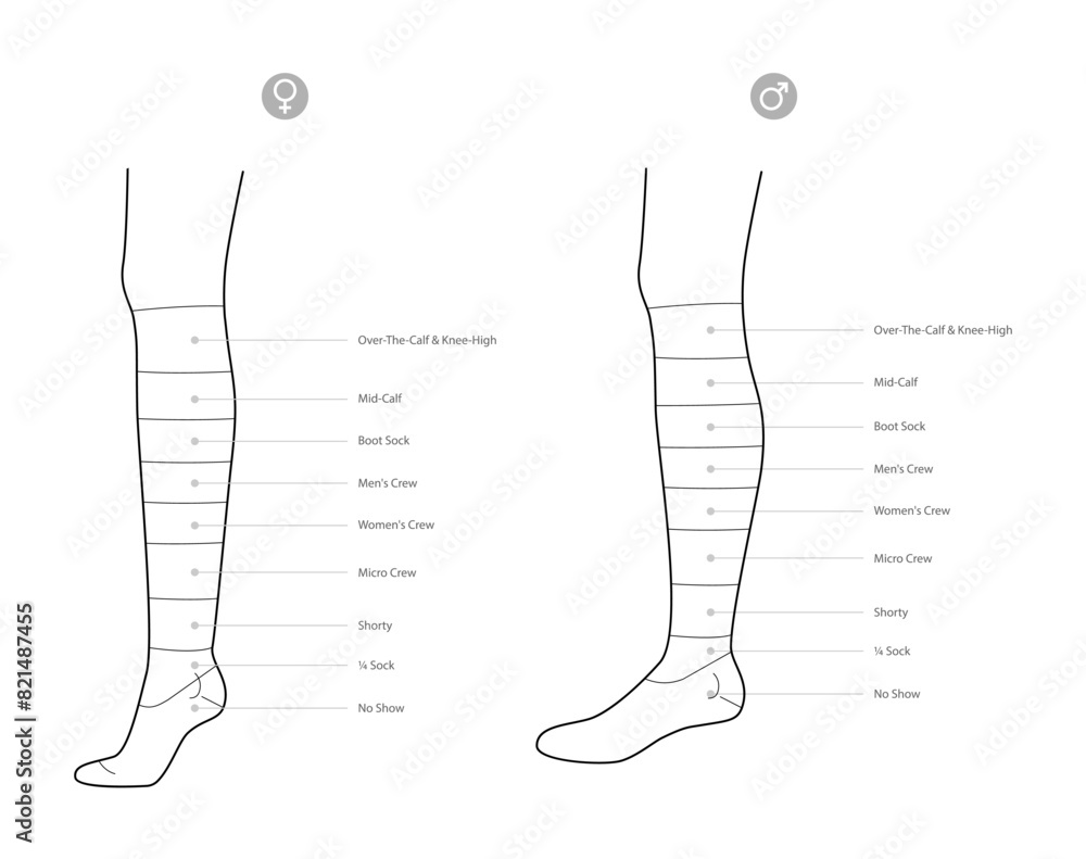 Diagrams of socks length with text names. Hosiery Fashion accessory