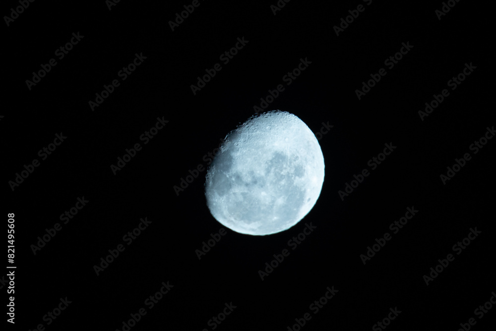 Naklejka premium The moon