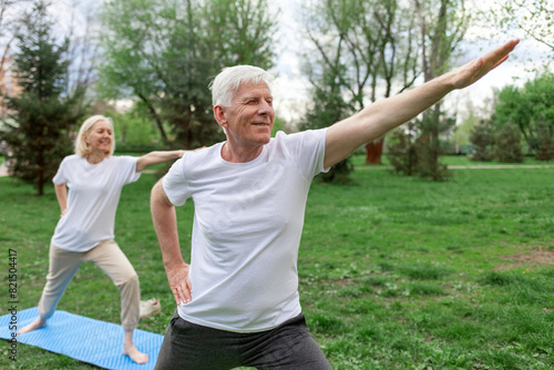 elderly senior couple man and woman doing yoga and meditating in a park in open space, gray-haired grandparents doing sports and active lifestyle in nature