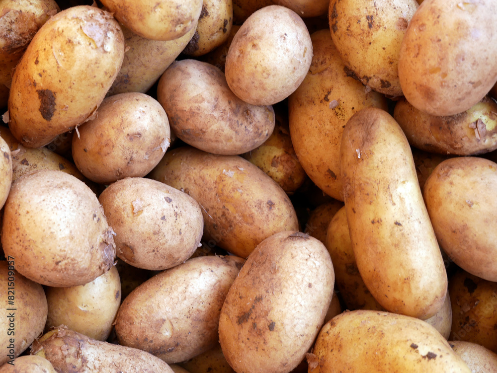 Raw new potatoes. Close up of the tuber. Full frame composition. Organic food. Raw new potatoes. Close up of the tuber. Full frame composition. Organic food.