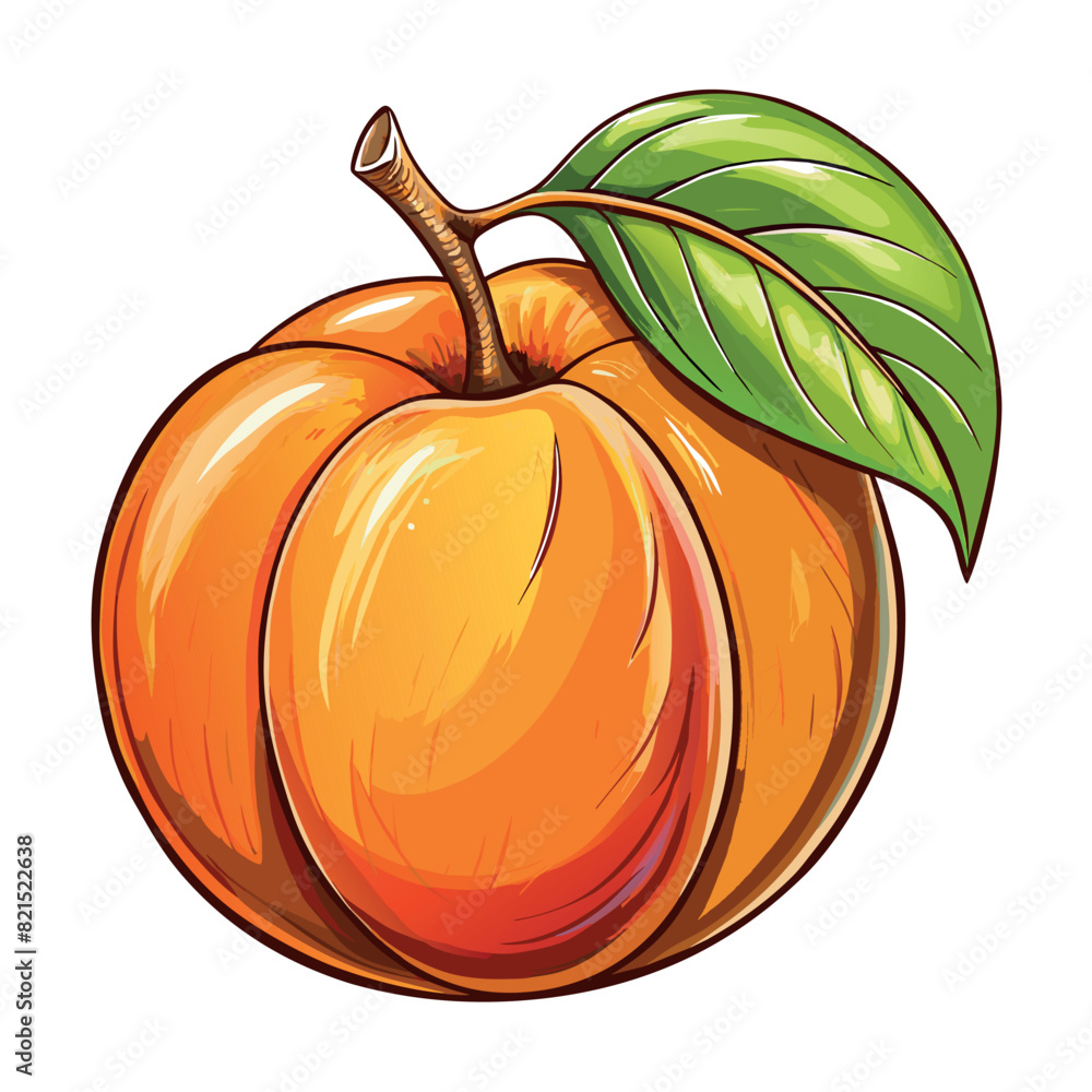 Apricot cartoon vector Illustration flat style artwork concept Apricot cartoon vector Illustration flat style artwork concept
