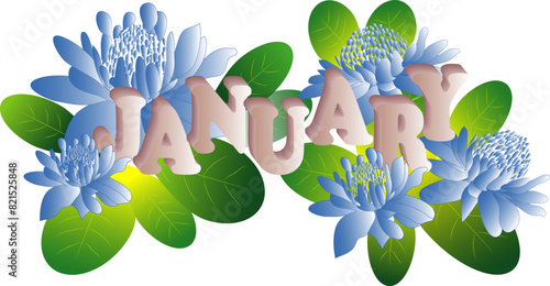 The names of the months with beautiful floral displays.