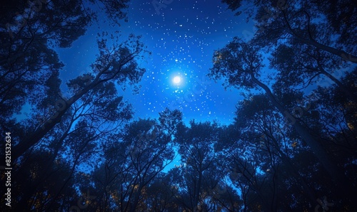 View from under a tree of the night sky with a beautiful moon