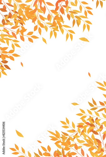 紅葉　葉　秋　背景