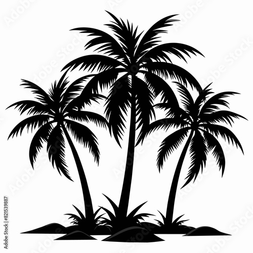 Palm Tree vector silhouette black color illustration