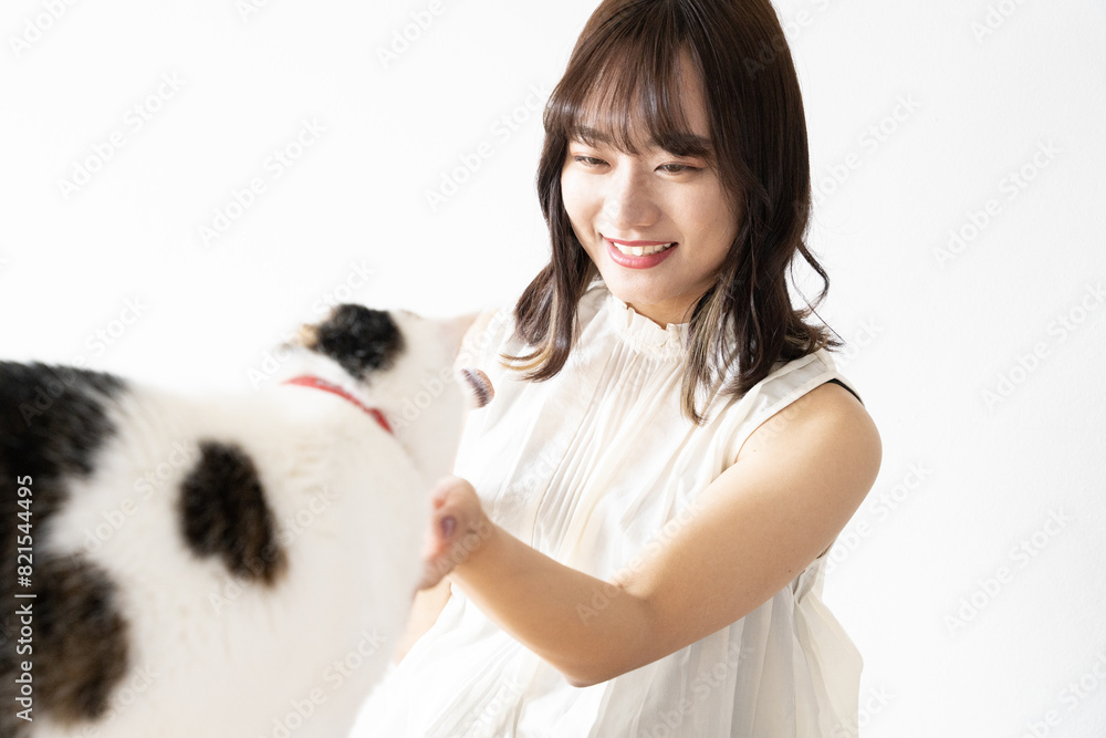 猫を触っている笑顔の女性 猫を触っている笑顔の女性