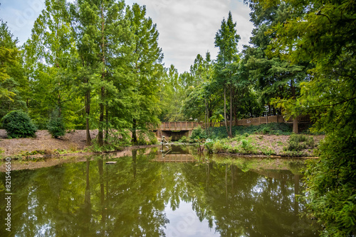 An overlooking view of nature in Aiken, South Carolina