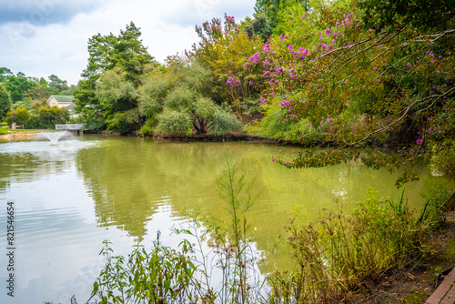 An overlooking view of nature in Aiken, South Carolina photo