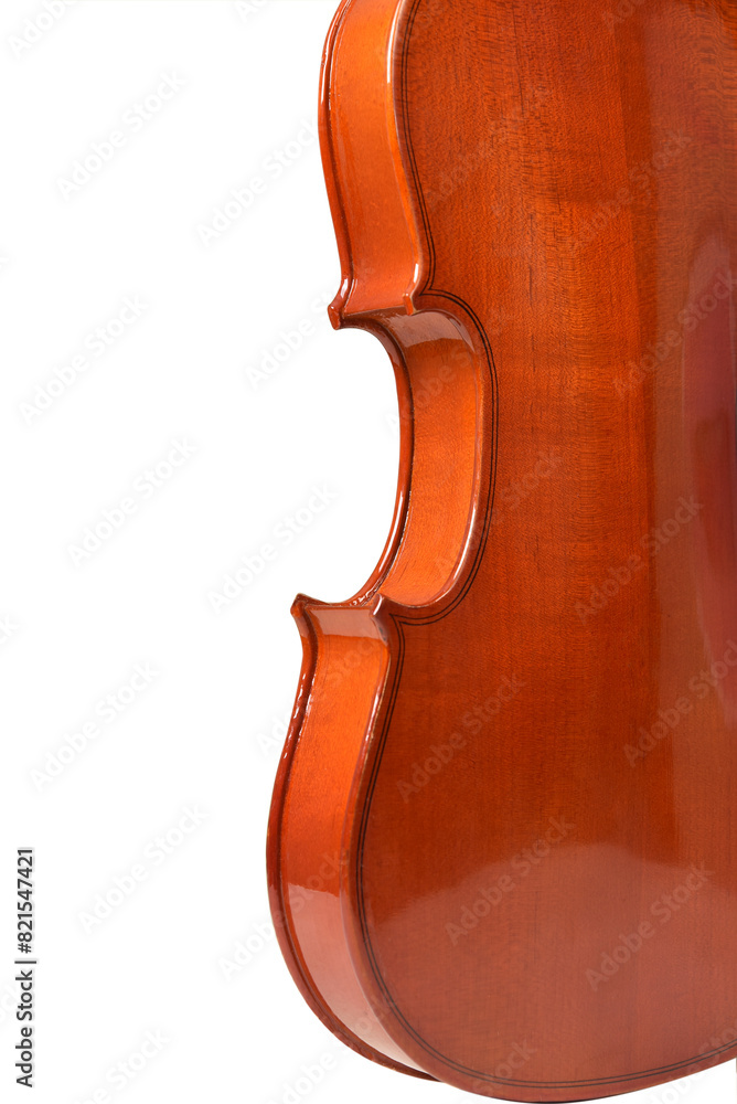 violin string instrument played with bow orchestra music and classical Brazilian fiddle violin string instrument played with bow orchestra music and classical Brazilian fiddle