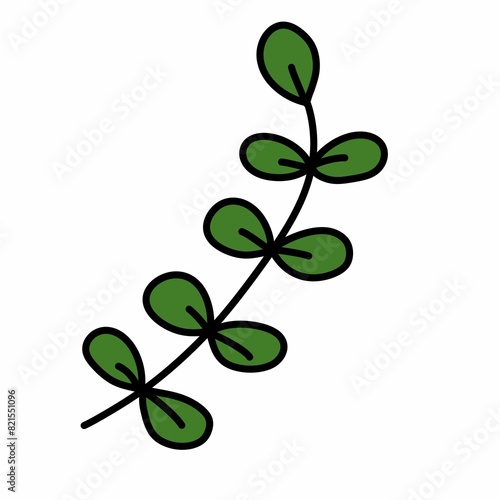 isolated plant leaves design illustration © mansum008