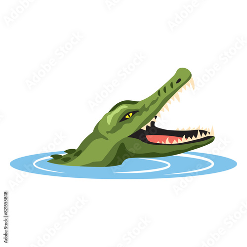 crocodile swimming in the river