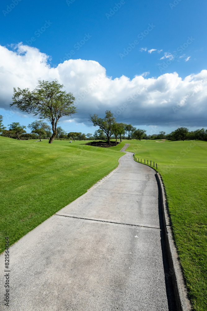 Cart path leading between two tree lined fairways, tropical golf vacation, Maui, Hawaii
Cart path leading between two tree lined fairways, tropical golf vacation, Maui, Hawaii