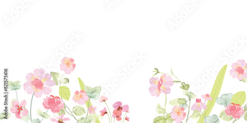 watercolor arrangements with small flower. Botanical illustration minimal style.