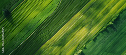 Background of green agronomy fields from a drone.  