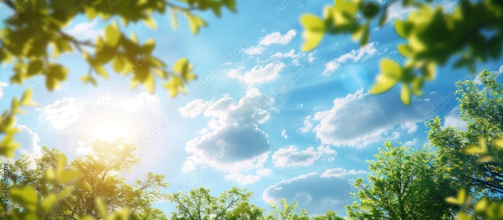 custom made wallpaper toronto digitalBeautiful blurred background image of spring nature with surrounded by trees against a blue sky with clouds on a bright