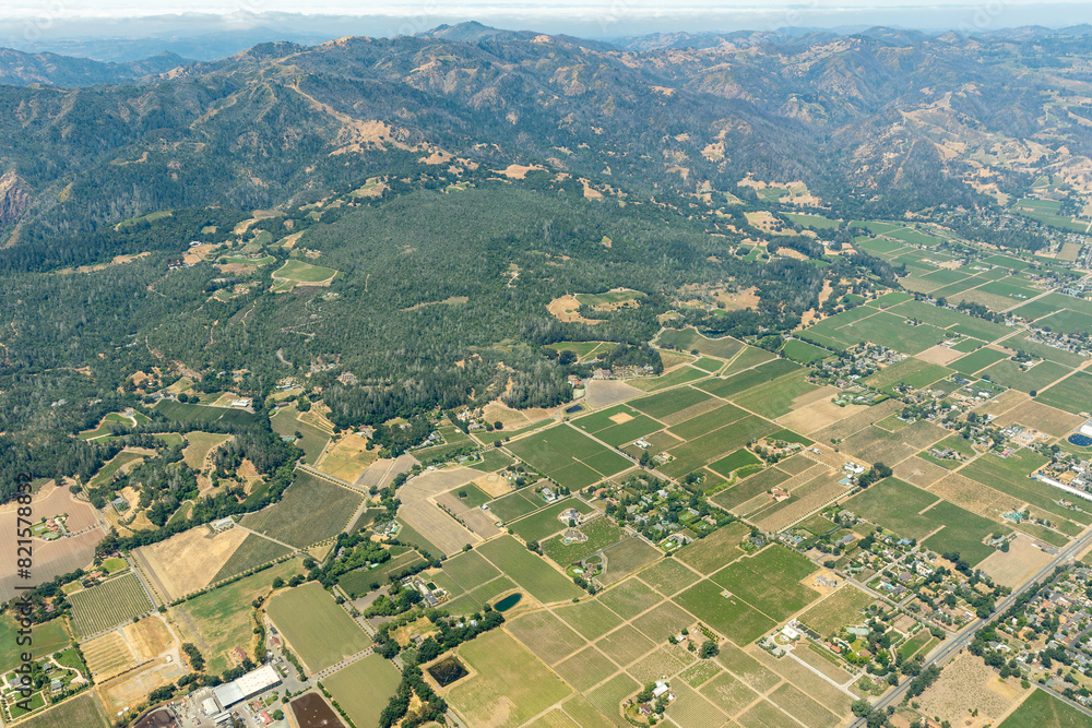 Fototapeta premium Aerial view of green rows of plants in farm fields, vineyards, and the agricultural towns of norther California
