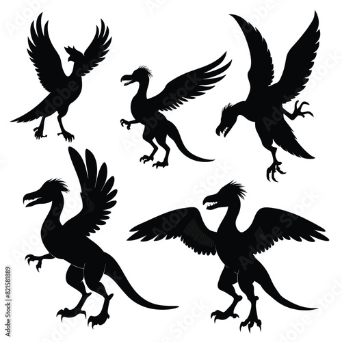Set of Archaeopteryx black Silhouette Vector on a white background photo