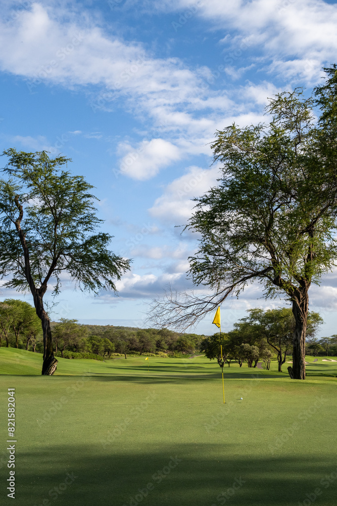 Great approach shot, golf ball next to yellow pin flag on green, tropical golf vacation, Maui, Hawaii
Great approach shot, golf ball next to yellow pin flag on green, tropical golf vacation, Maui, Hawaii