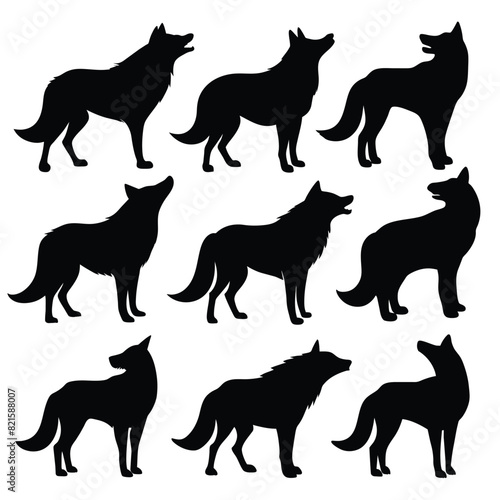 Set of Arctic Wolf black Silhouette Vector on a white background