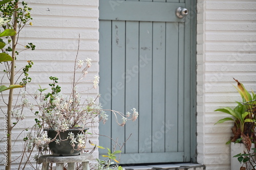 Close-up of a white tiled wall adorned with a teal wooden door and plants on a serene morning street corner. photo