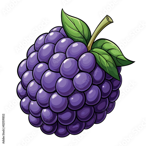 Blackberry cartoon vector Illustration flat style artwork concept