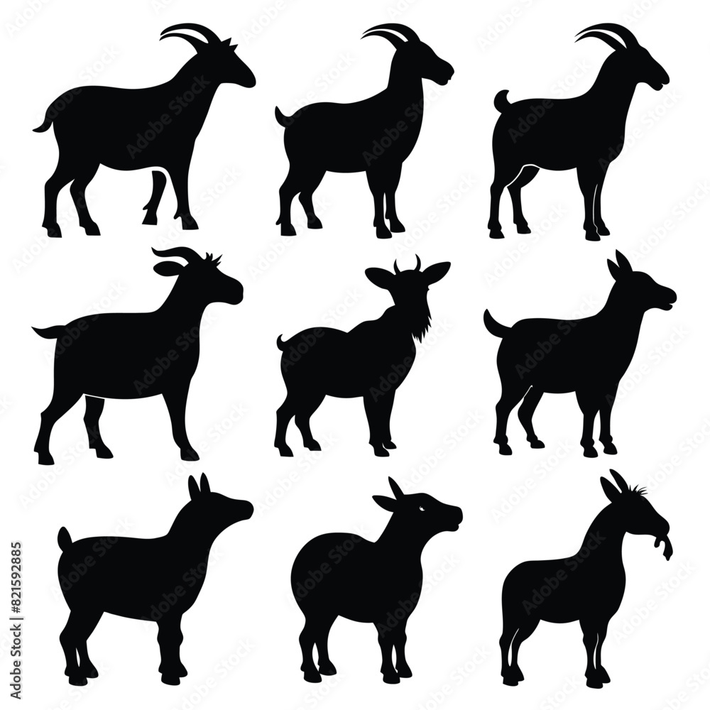 Set of American Pygmy Goat black Silhouette Vector on a white background