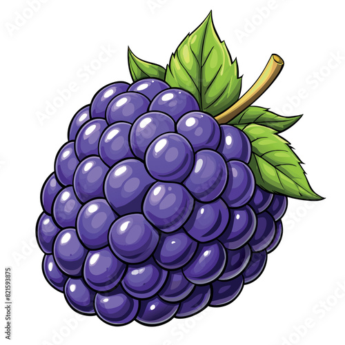 Blackberry cartoon vector Illustration flat style artwork concept