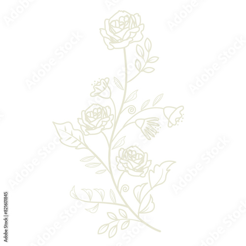 Beige roses