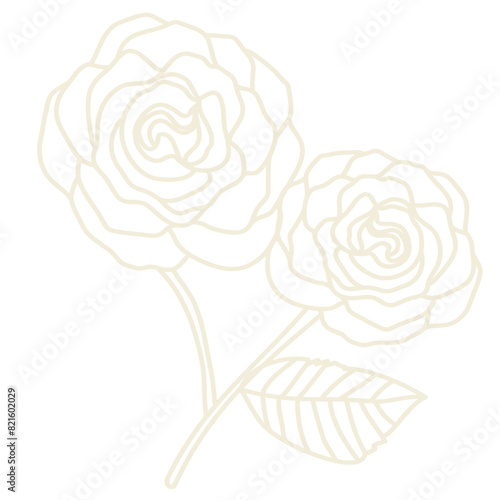 Carnation design