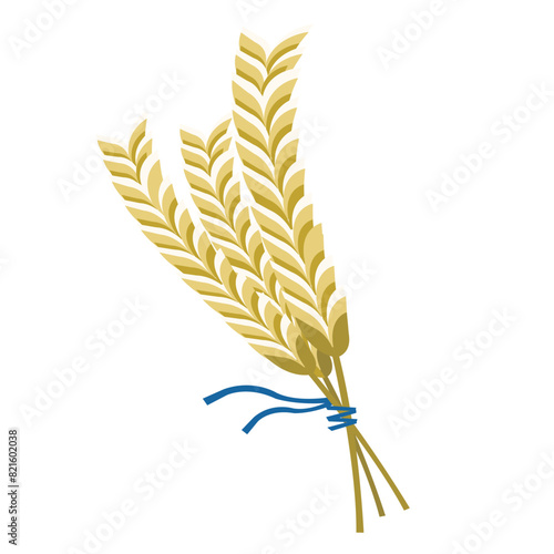 Wheat plant