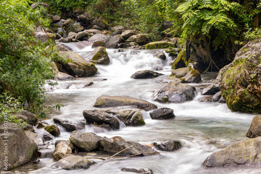 Mountain river nearby Yawu Lake under the Wawu Mountain, in Meishan City of southwest China’s Sichuan Province Mountain river nearby Yawu Lake under the Wawu Mountain, in Meishan City of southwest China’s Sichuan Province
