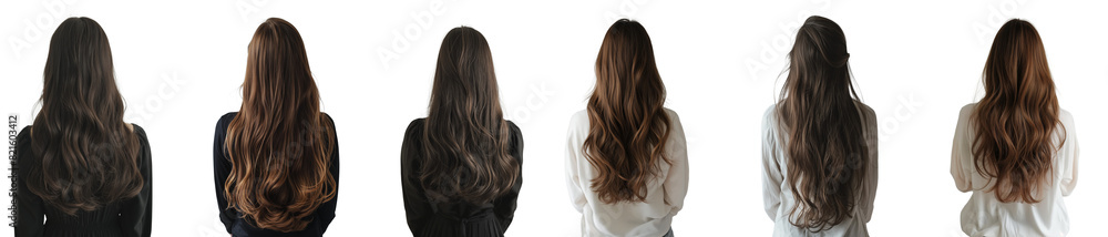 back view of Woman with Long Hair Perfect for Salon Promotion isolated on white background back view of Woman with Long Hair Perfect for Salon Promotion isolated on white background