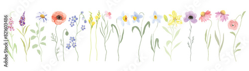 watercolor Flower art triptych vector element with Wildflower and leaf hand paint. Botanical illustration minimal style.