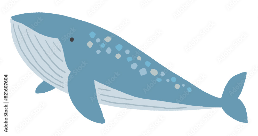 Obraz premium クジラのイラスト