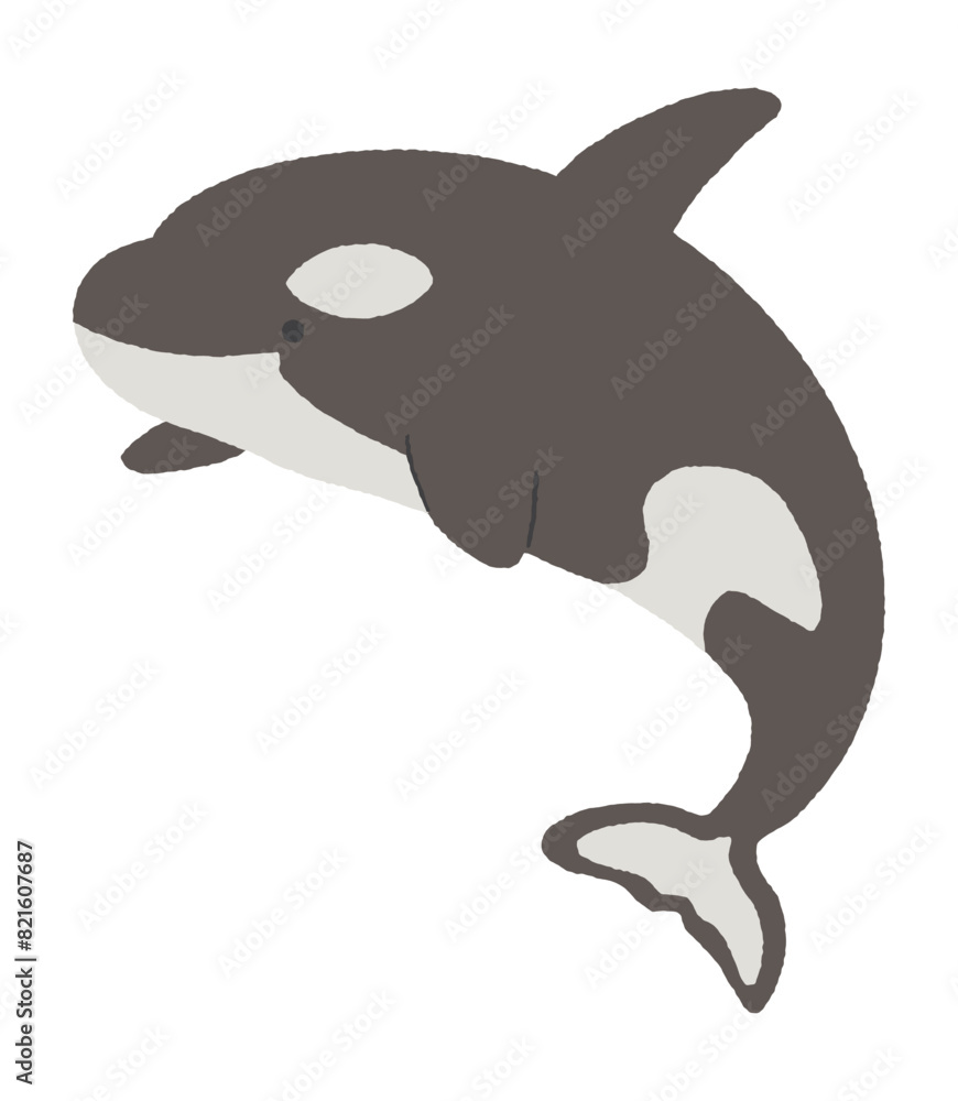 Obraz premium シャチのイラスト