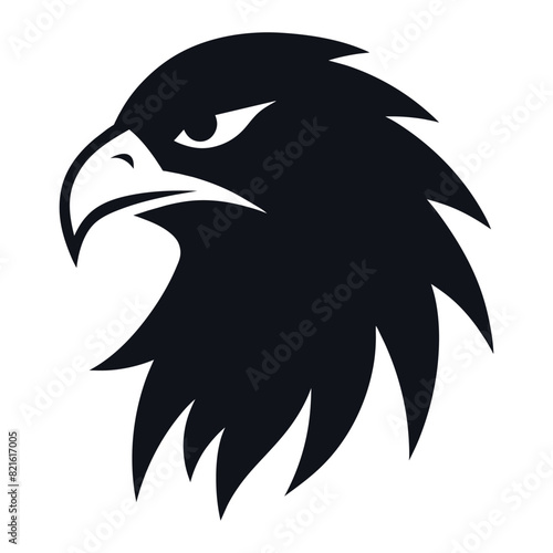 eagle head Vector illustration logo icon on white background