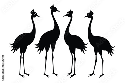 Set of African jacana Silhouette Vector on a white background