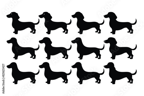 Set of Black Alpine Dachsbracke Silhouette Vector on a white background photo