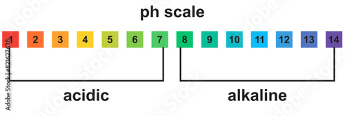 Ph level of acid and alkaline balance. Scale indicator for litmus paper test. Vector isolated infographics on white background.