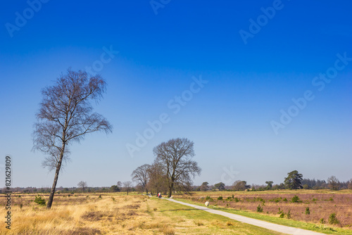 Bicycle path through the national park Drents-Friese Wold, Netherlands