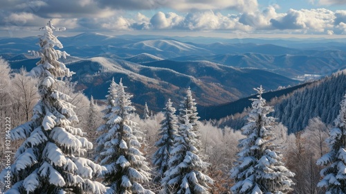 A snowy mountain range with pine trees covered in snow. The trees are tall and spread out across the landscape. The sky is cloudy, but the mountains are still visible in the distance