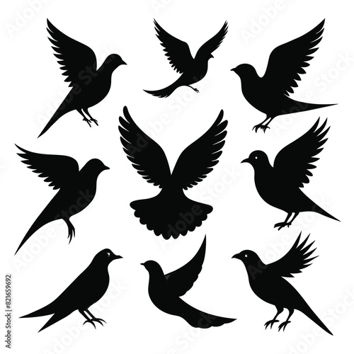 Set of Black Amazonian Royal Flycatcher Silhouette Vector on a white background