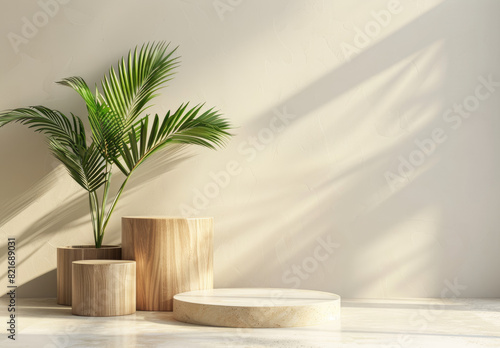 Minimal abstract wooden podiums with a palm plant, a mock up for product presentation in the style of modern interior design. Created with Ai © Raydecor