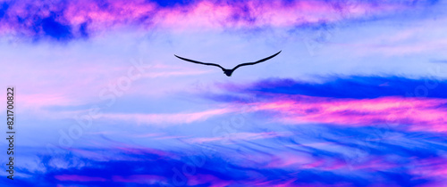 Bird Flying Inspiration Sunset Faith Motivation Divine Inspiration Hope Uplifting Soaring Sunrise Banner Header