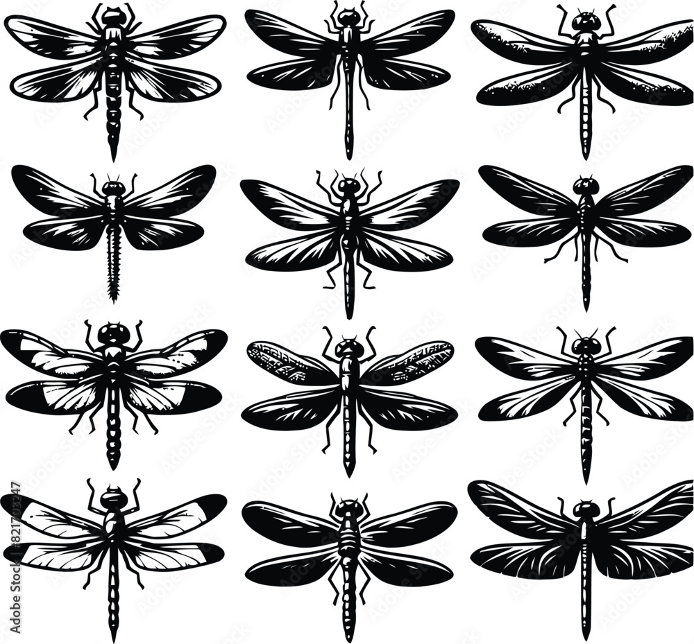 Obraz premium Dragonfly silhouette vector