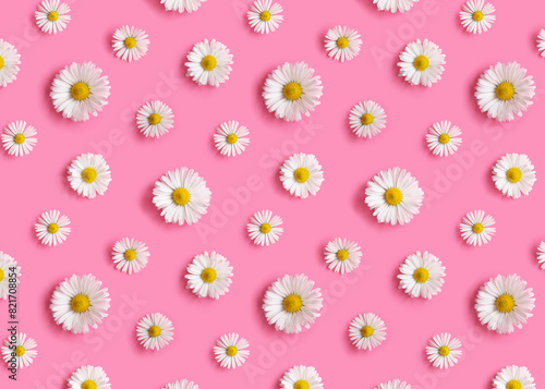 Flowers pattern with white daisies on a pink background