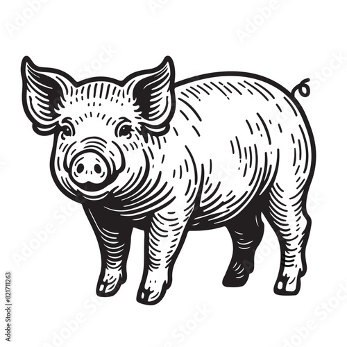 Line art of pig vector illustration