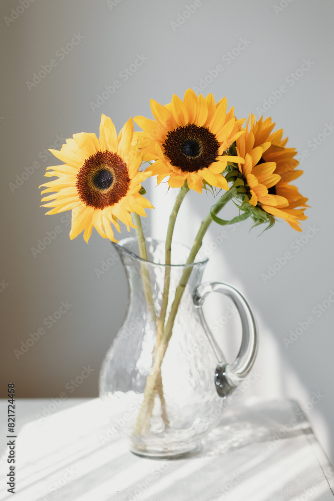 Three sunflowers in a clear glass vase, bathed in sunlight Three sunflowers in a clear glass vase, bathed in sunlight
