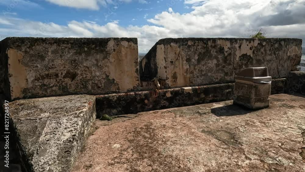 iguanas in the courtyard of castillo san cristobal in old san juan puerto rico (wildlife lizard reptile) travel destination historic spanish fort castle tourism iguanas in the courtyard of castillo san cristobal in old san juan puerto rico (wildlife lizard reptile) travel destination historic spanish fort castle tourism
